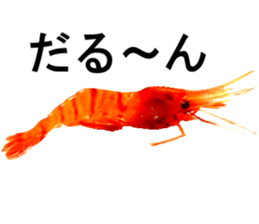 Botan Ebi sticker #13914021