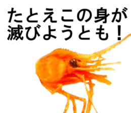 Botan Ebi sticker #13914027