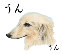 Realistic dog2 sticker #13916050