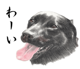 Realistic dog2 sticker #13916058