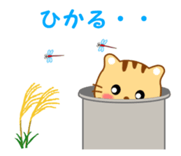 Sticker to send to Hikaru sticker #13919148