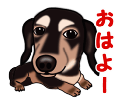 Move! Sticker of Black Dachshund3 sticker #13919854