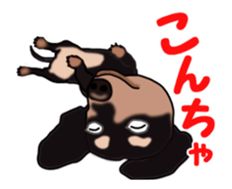 Move! Sticker of Black Dachshund3 sticker #13919855