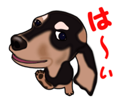 Move! Sticker of Black Dachshund3 sticker #13919857