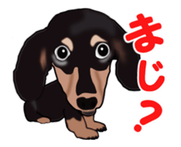 Move! Sticker of Black Dachshund3 sticker #13919866
