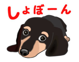 Move! Sticker of Black Dachshund3 sticker #13919870