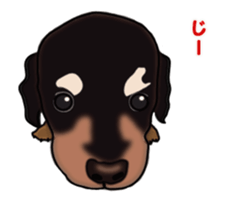 Move! Sticker of Black Dachshund3 sticker #13919874