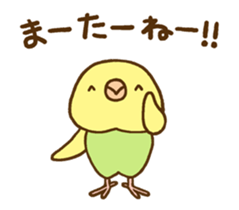Budgie Greeting sticker #13919960