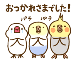 Budgie Greeting sticker #13919965