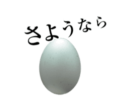 Is the only of the egg sticker #13920147