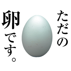 Is the only of the egg