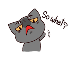 Grumpy Cat... sticker #13920859