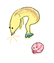 Animation of shrimp sticker #13920954