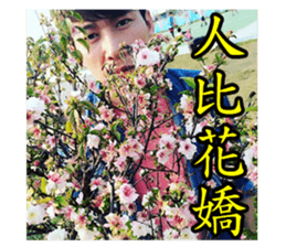 Kenneth's stickers. sticker #13921158