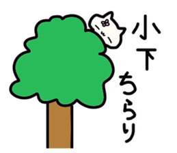 Koshita's name sticker sticker #13921589