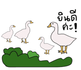 Boom Boom sticker #13922350