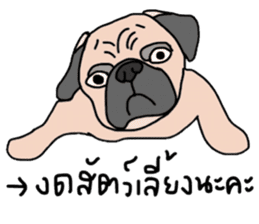 Boom Boom sticker #13922366