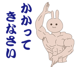 Rabbit muscle training sticker #13923322