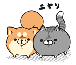 Plump dog & Plump cat sticker #13924985
