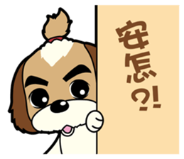 2 Shih Tzu Brothers-Part4 sticker #13925636