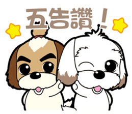 2 Shih Tzu Brothers-Part4 sticker #13925642
