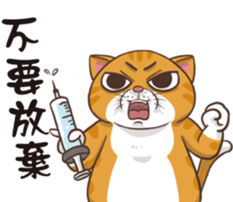 CAT BOOS sticker #13927079