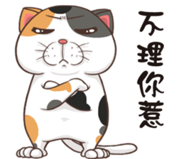 CAT BOOS sticker #13927080