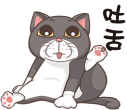 CAT BOOS sticker #13927082