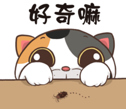 CAT BOOS sticker #13927083