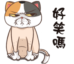 CAT BOOS sticker #13927084