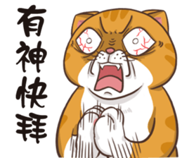 CAT BOOS sticker #13927087