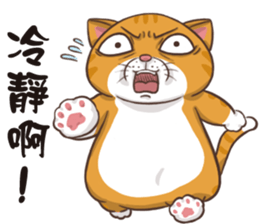 CAT BOOS sticker #13927091