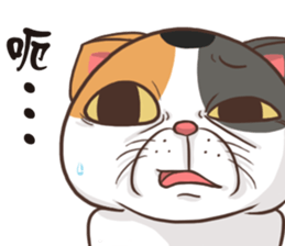 CAT BOOS sticker #13927092