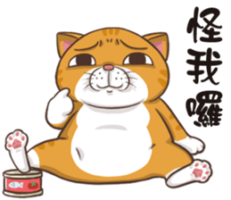 CAT BOOS sticker #13927095