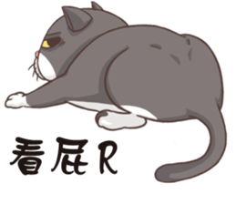 CAT BOOS sticker #13927096