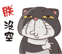 CAT BOOS sticker #13927098