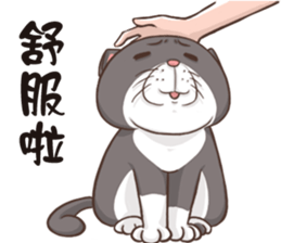 CAT BOOS sticker #13927103