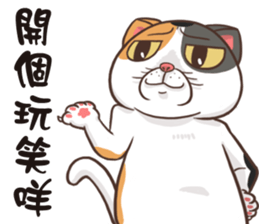 CAT BOOS sticker #13927104