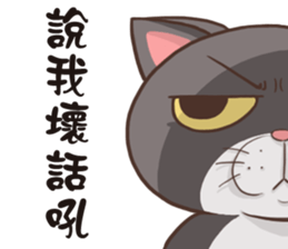 CAT BOOS sticker #13927109