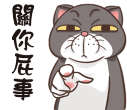 CAT BOOS sticker #13927115