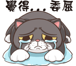 CAT BOOS sticker #13927116