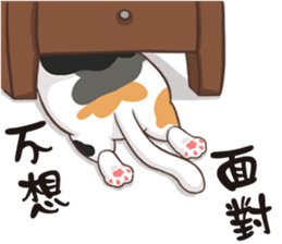 CAT BOOS sticker #13927117