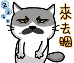 23Me+23Meow-Powerful Daily Phrases_01 sticker #13927364