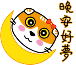 23Me+23Meow-Powerful Daily Phrases_01 sticker #13927365