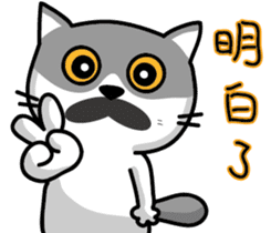 23Me+23Meow-Powerful Daily Phrases_01 sticker #13927373