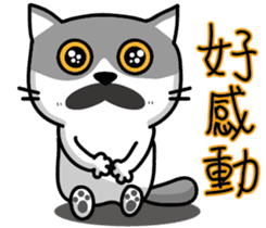 23Me+23Meow-Powerful Daily Phrases_01 sticker #13927378
