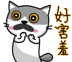 23Me+23Meow-Powerful Daily Phrases_01 sticker #13927380