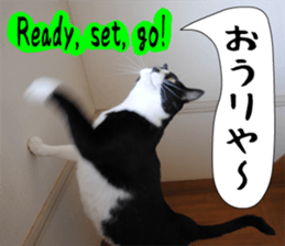 sticker japan cat&gin Photo version 6 sticker #13927482