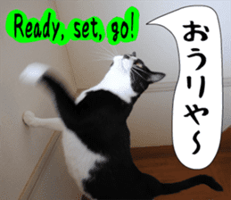 sticker japan cat&gin Photo version 6 sticker #13927482