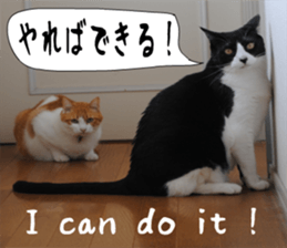 sticker japan cat&gin Photo version 6 sticker #13927483